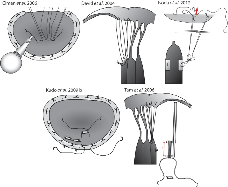 Figure 2: