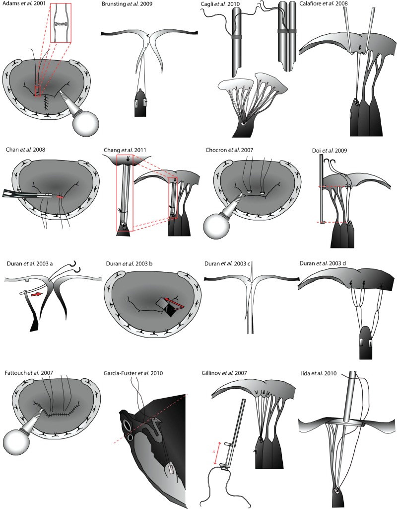 Figure 1A: