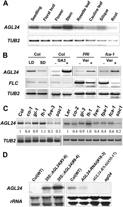 Fig 3.