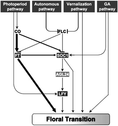 Fig 4.