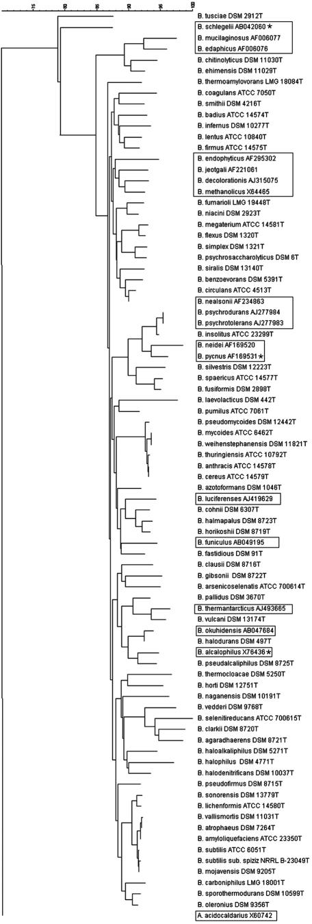 FIG.1.