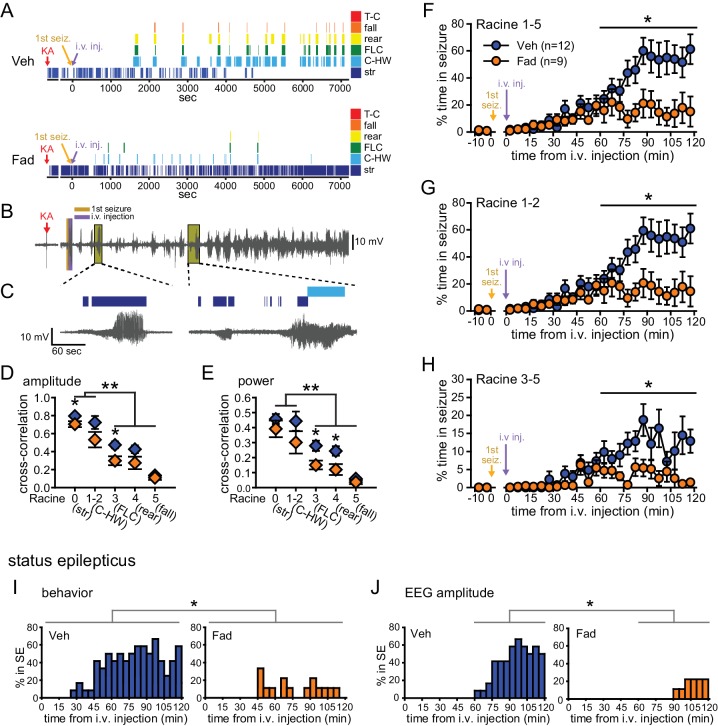 graphic file with name elife-19109-fig1.jpg