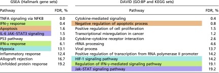 graphic file with name pnas.1619320114st01.jpg