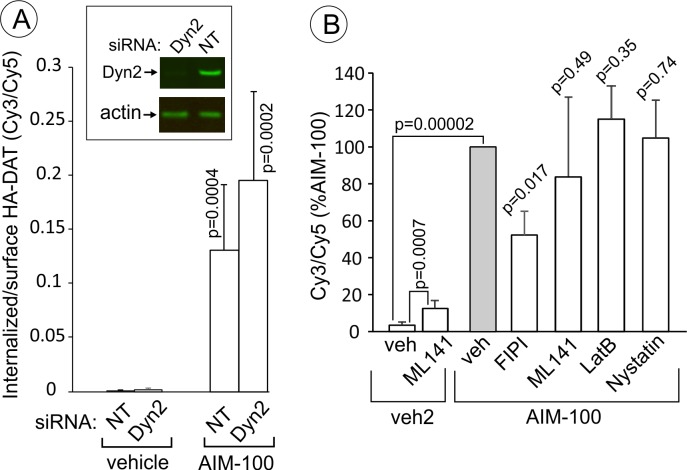 Figure 11.