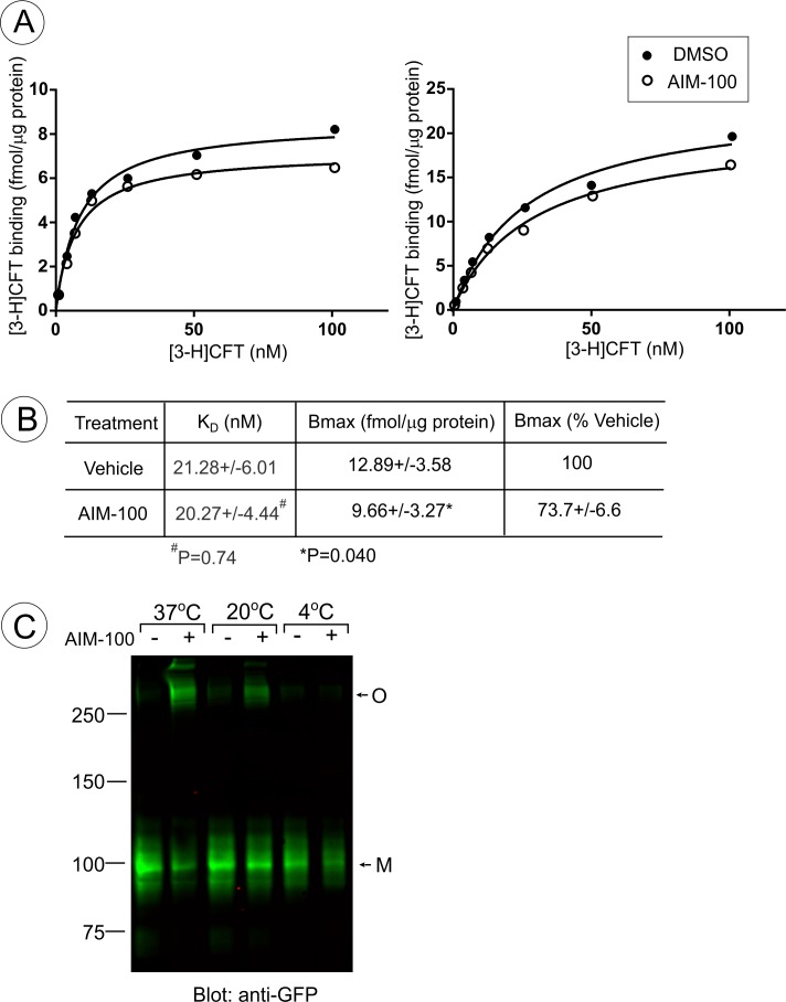 Figure 5—figure supplement 1.