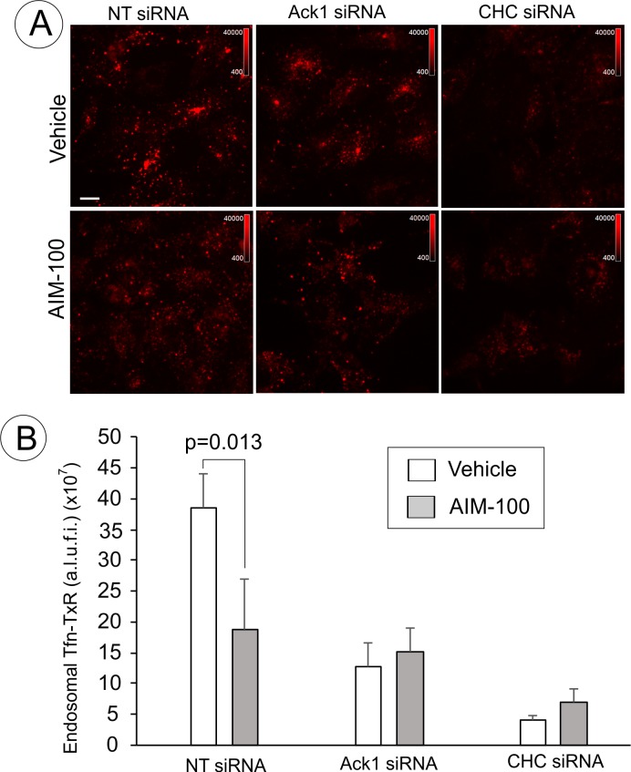 Figure 10—figure supplement 1.