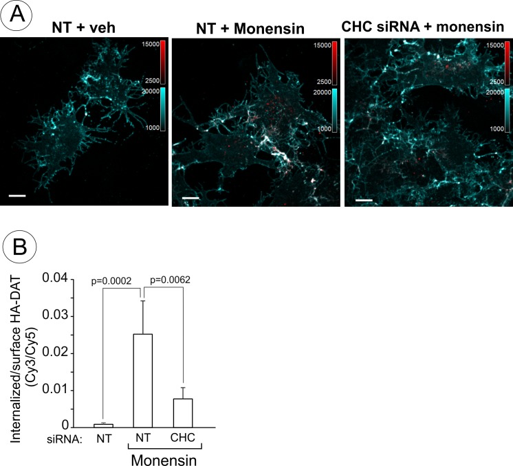 Figure 10—figure supplement 3.