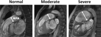 Figure 9.