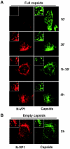 FIG. 2.