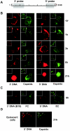 FIG. 3.