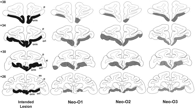 Figure 1.