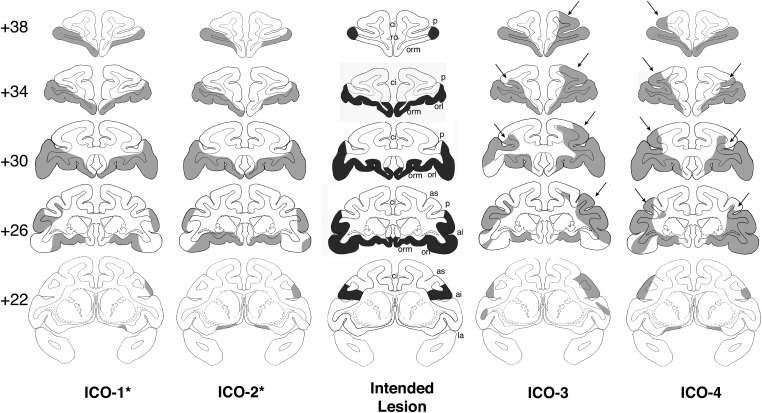 Figure 3.