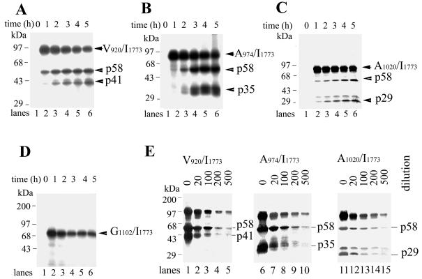 FIG. 7