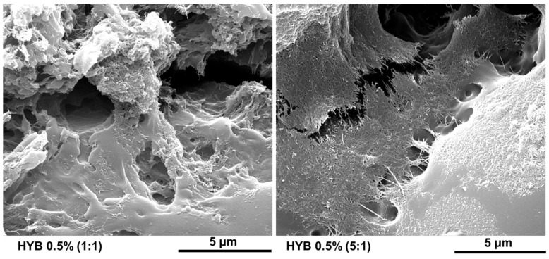 Figure 27