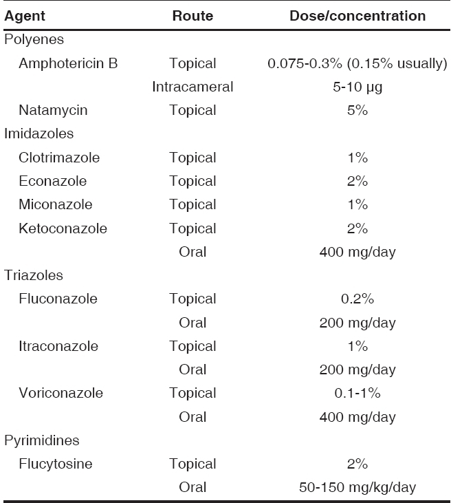 graphic file with name IndianJOphthalmol-56-215-g003.jpg