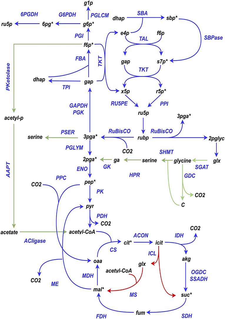 Figure 1.