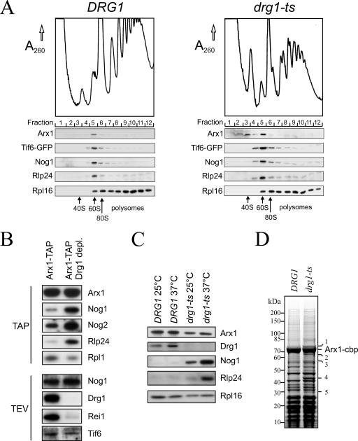 FIG. 7.