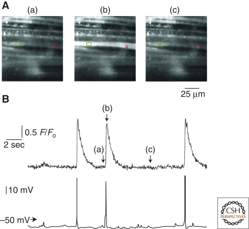 Figure 4.