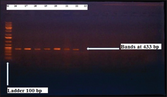 Figure-6