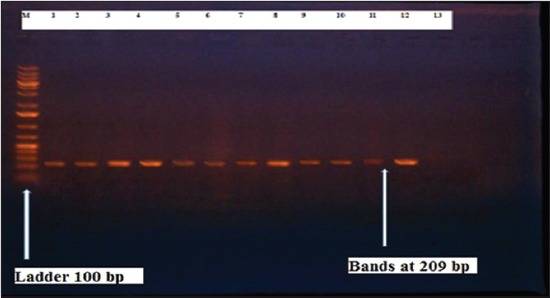 Figure-12