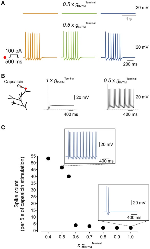 Figure 6