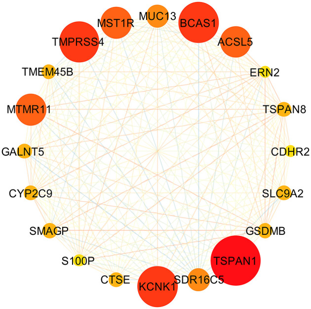 Figure 4