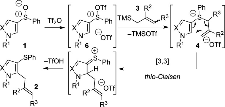 Scheme 3