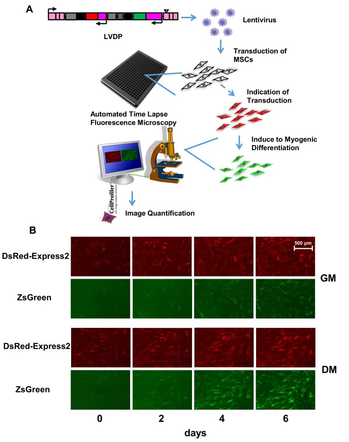 Fig 3