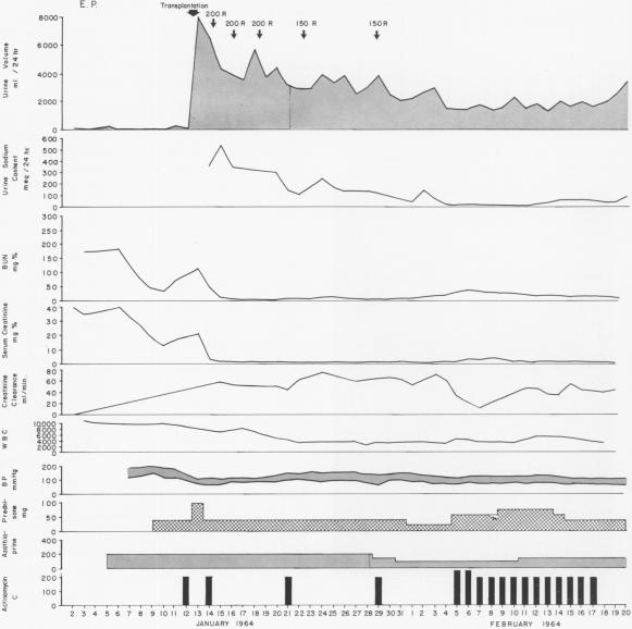 Fig. 16.