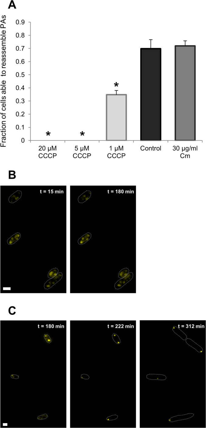 FIG 3