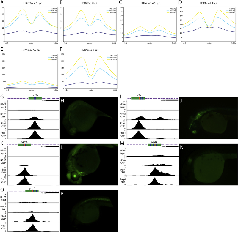 Figure 7: