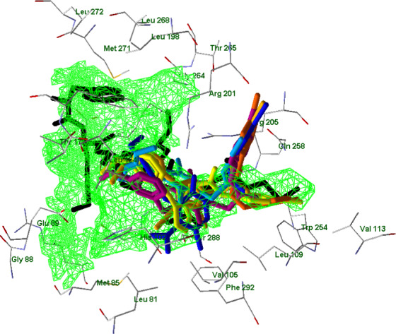 FIGURE 16