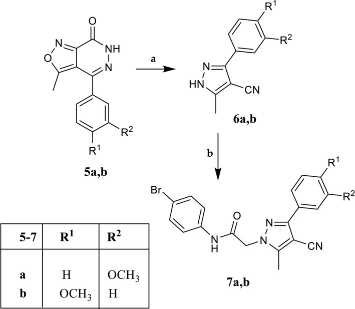 SCHEME 2