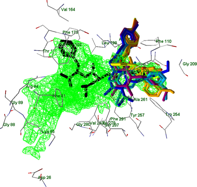 FIGURE 11