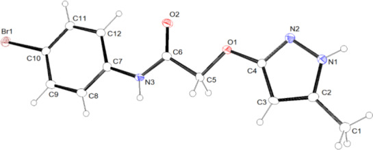 FIGURE 4