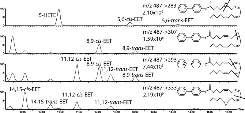 Figure 6: