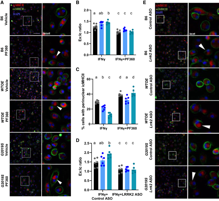 Figure 4