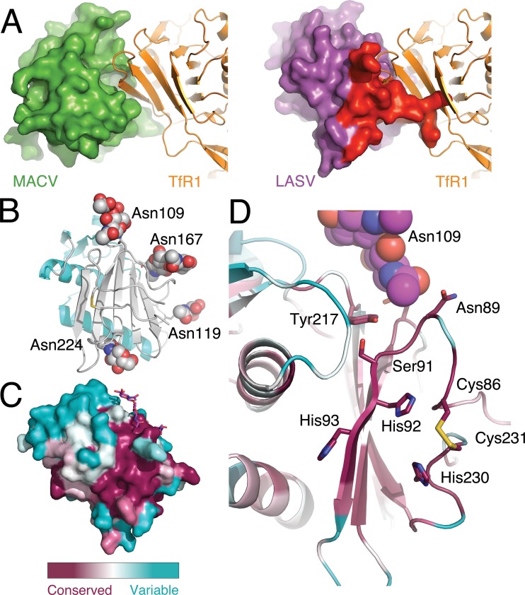 FIG 2