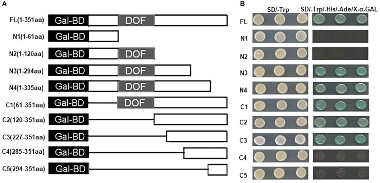 FIGURE 3