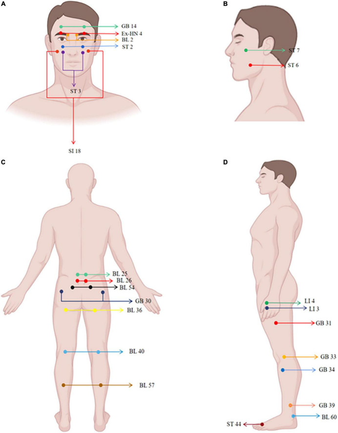 FIGURE 2