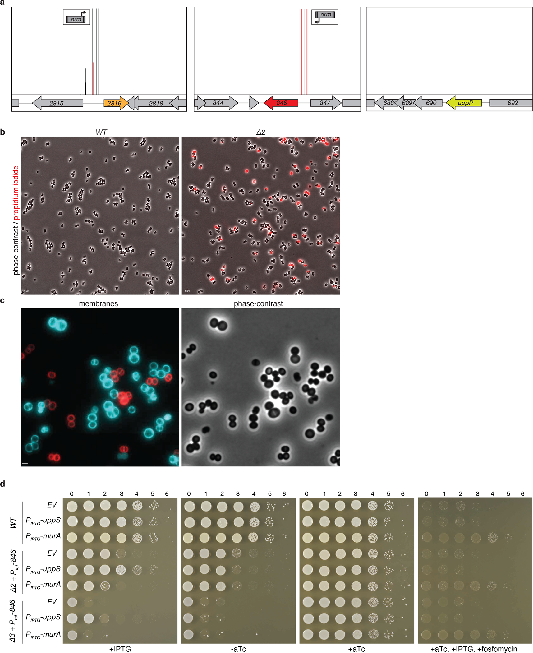 Extended Data Fig. 4