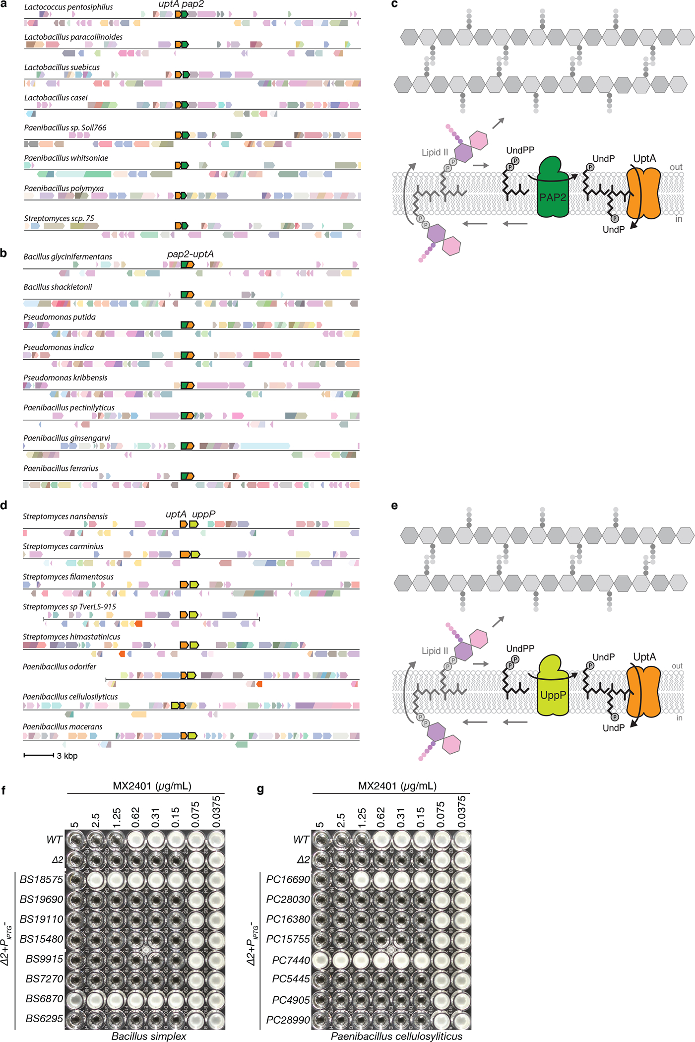 Extended Data Fig. 5