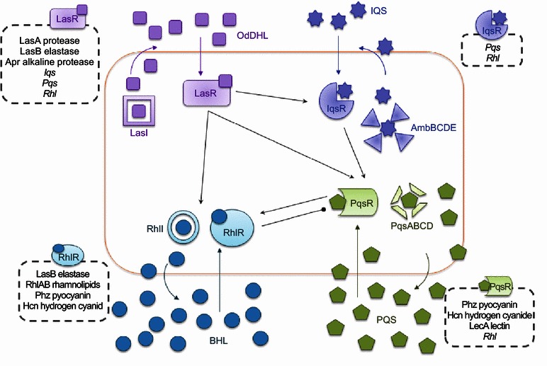 Figure 3