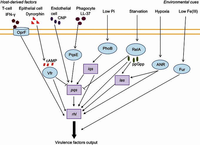 Figure 4