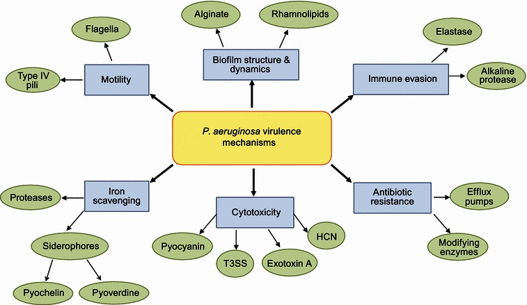 Figure 1