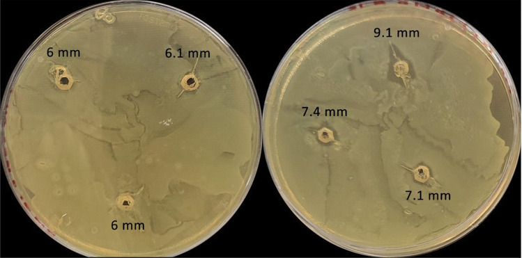 Fig. 11