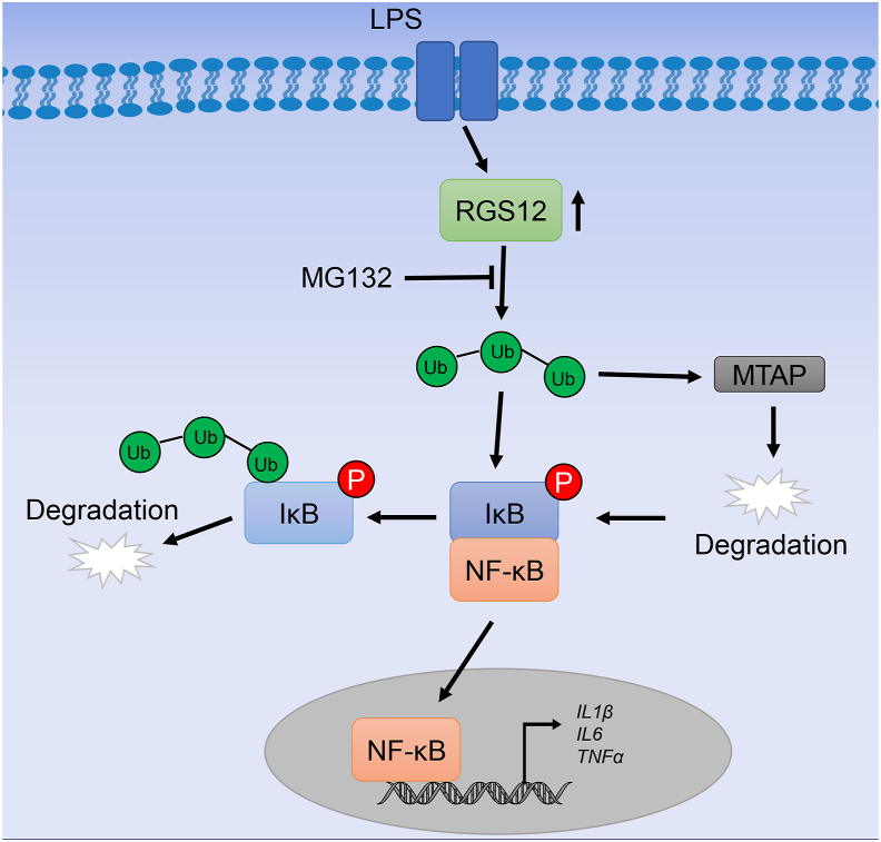 Figure 6