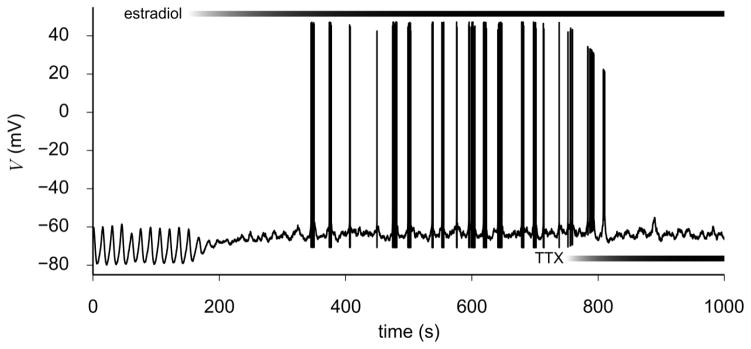 Fig. 10