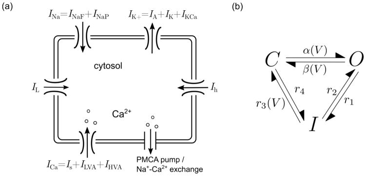 Fig. 1