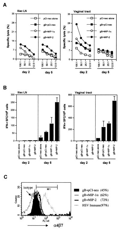 FIG. 7